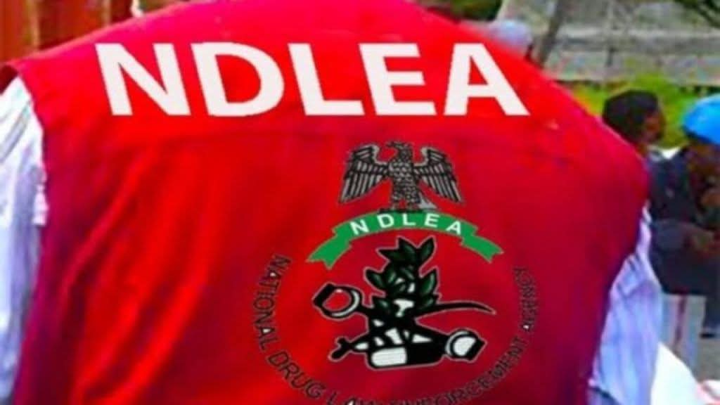 NDLEA busts illicit drug warehouse, recovers N6.7 billion opioids