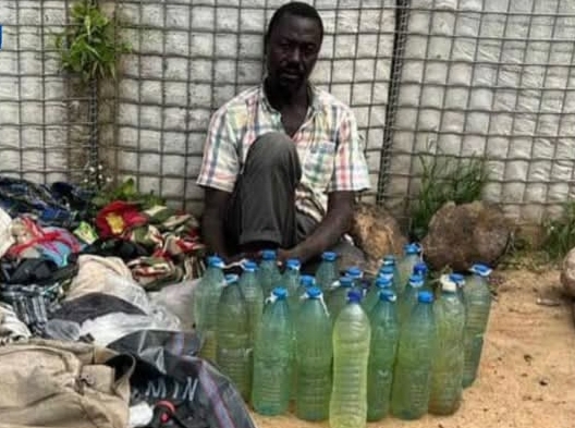Army Arrests 54-Year-Old Boko Haram Fuel Supplier in Borno