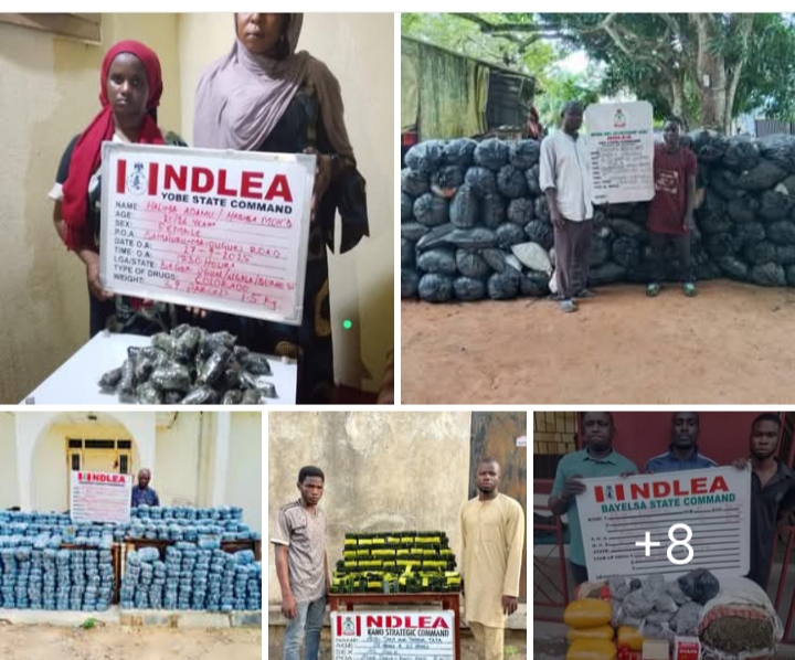 Two drug kingpins arrested with consignments of cocaine, heroin, meth in Lagos