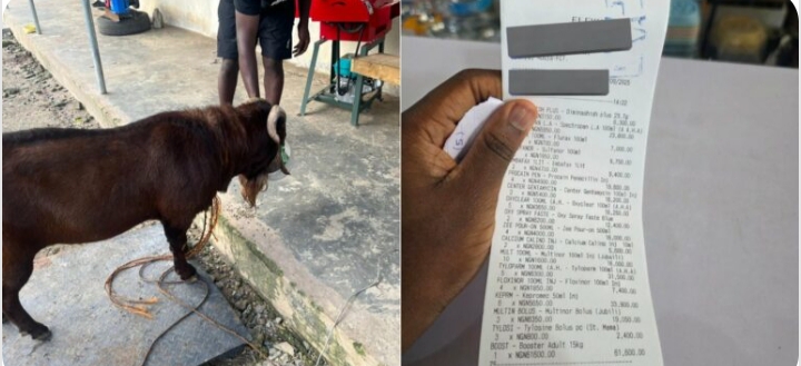 Man shares receipts after spending N316K on medications for goat