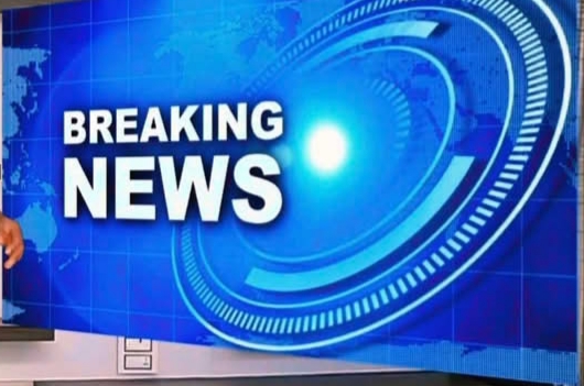 State Govt Approves Recruitment of 2,600 Forest Guards Amid Rising Bandit Attacks State Govt Approves Recruitment of 2,600 Forest Guards Amid Rising Bandit Attacks