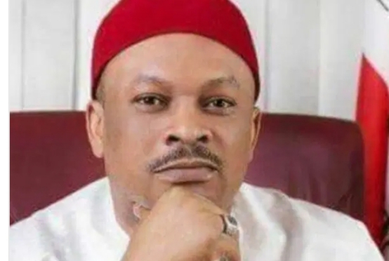 Internal Crisis: PDP Says National Secretary Anyanwu’s Role “Is To Provide Diesel, Keep Parking Spaces”