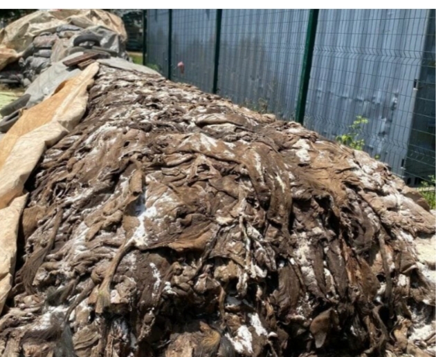 Customs seize N3.94bn in donkey parts, transfers exhibits to NESREA Customs seize N3.94bn in donkey parts, transfers exhibits to NESREA