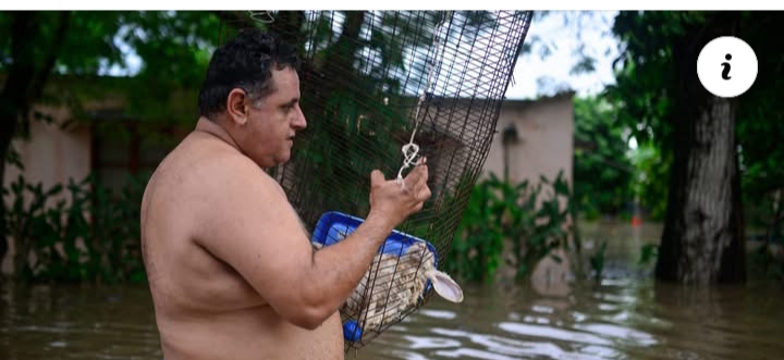 At least 23 d£ad due to heavy rains in Mexico
