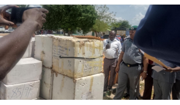 Nigerian Customs Seize 64 Donkey Skins Bound For China Nigerian Customs Seize 64 Donkey Skins Bound For China