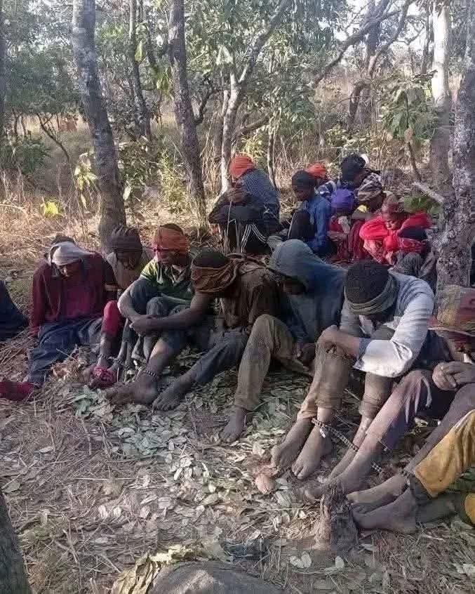 Police Arrest 13 Suspected Black Axe Members In Delta, Recover Arms, Vehicles In Forest Raid