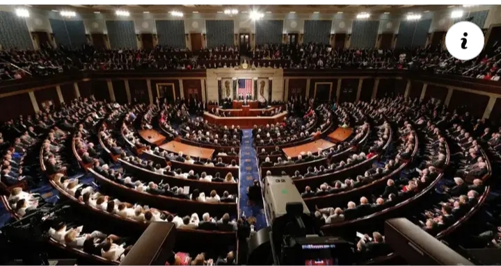 US bill targets illegal Chinese mining operations in Nigeria for ‘funding Fulani militias’