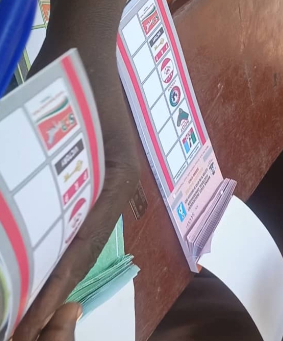 Borno LG poll: PDP, ADC logos missing on ballot paper