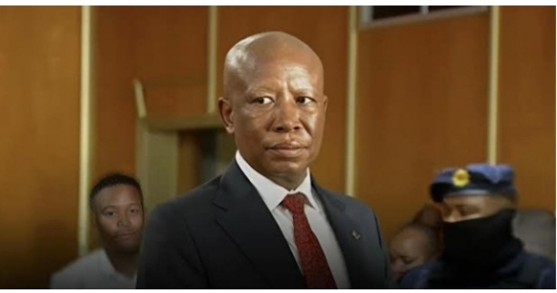 South Africa’s EFF Condemns Julius Malema’s Prison Sentence Over 2018 F!rearm Inc!dent, Says No One Was Hurt