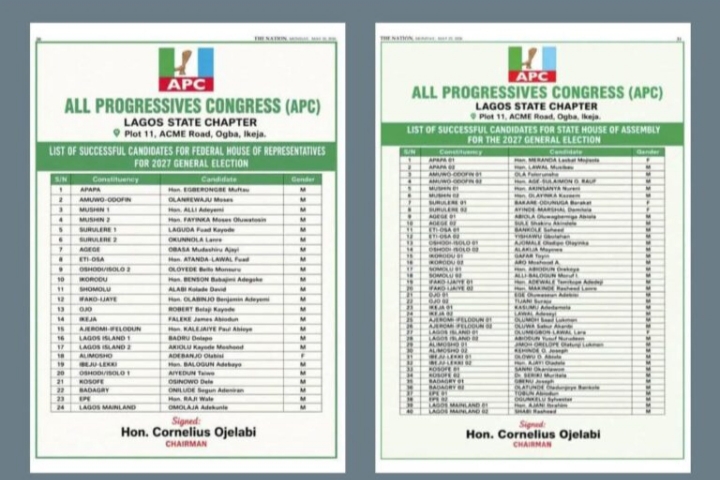 FULL LIST: APC Publishes House of Reps, Assembly Primary Election Winners